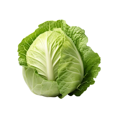 Cabbage