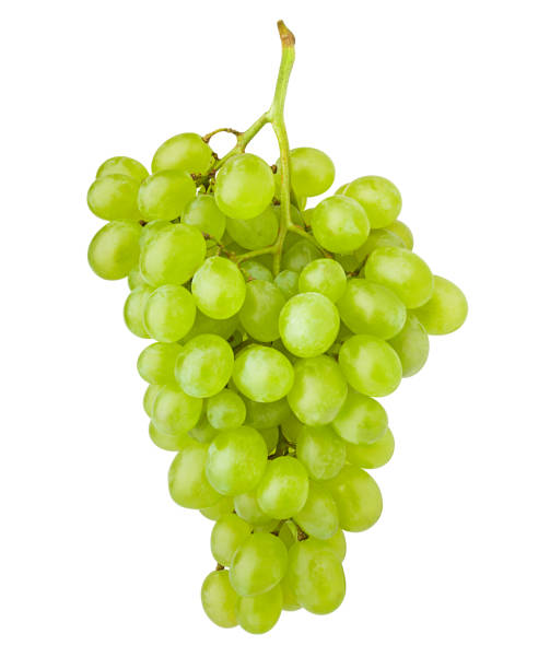 Grape