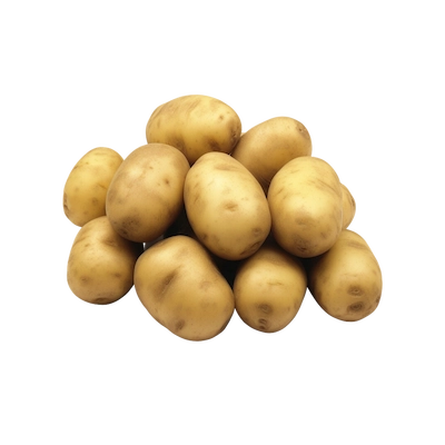 Potato